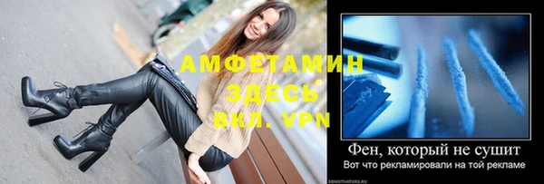 прущие грибы Кукмор