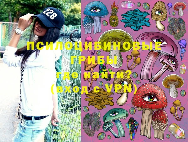 прущие грибы Кукмор