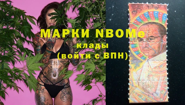 прущие грибы Кукмор