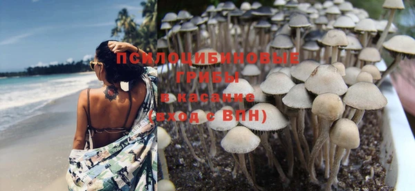 2c-b Кулебаки