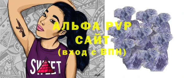 прущие грибы Кукмор