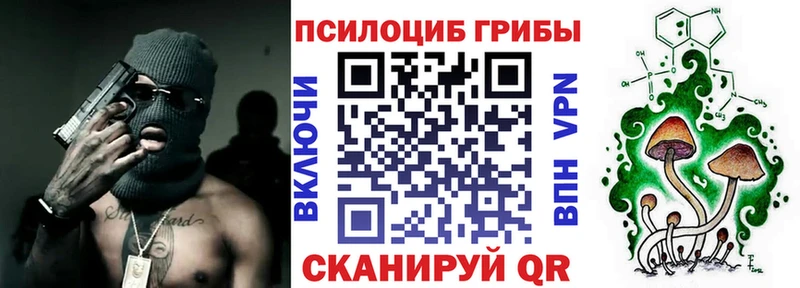 Псилоцибиновые грибы Cubensis  Новокузнецк 