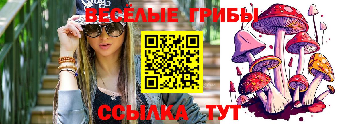 Новокузнецк  Псилоцибиновые грибы ЛСД  Вход с VPN  Галлюциногенные грибы Cubensis 