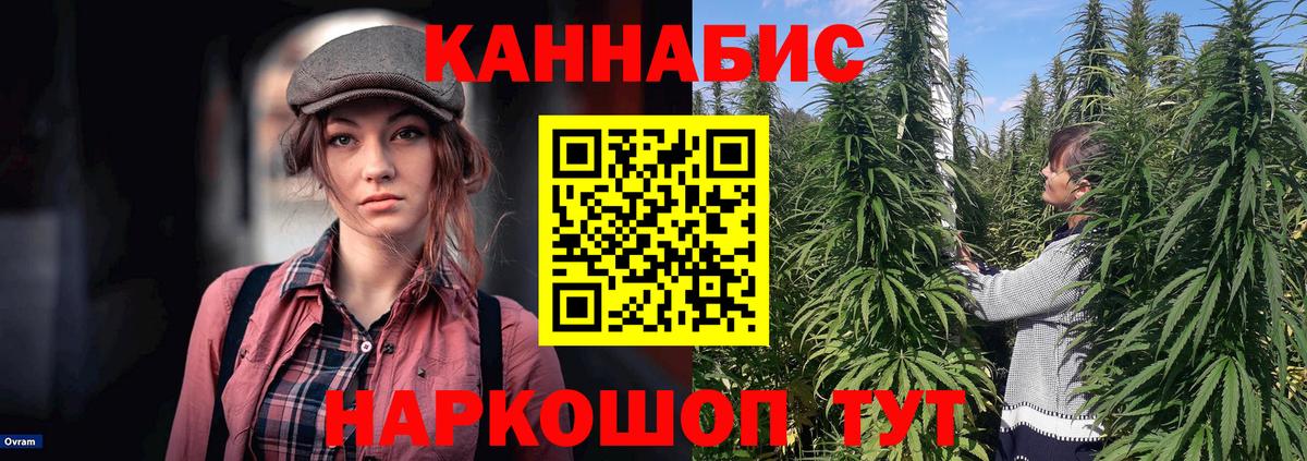 Бошки Шишки конопля  МАРИХУАНА тримм  Новокузнецк  Вход с VPN 